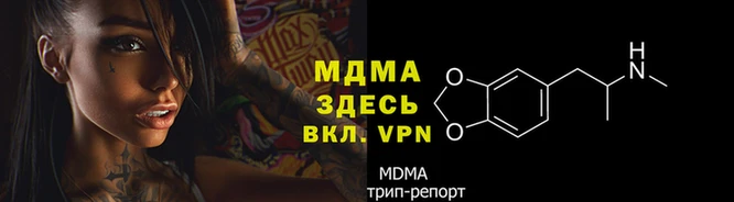 прущие грибы Арсеньев
