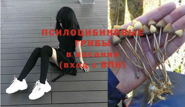 прущие грибы Арсеньев