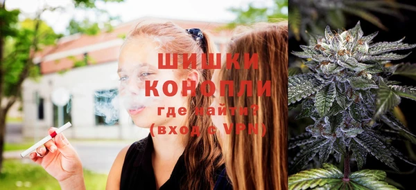 крисы Аркадак