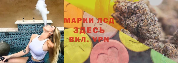 крисы Аркадак