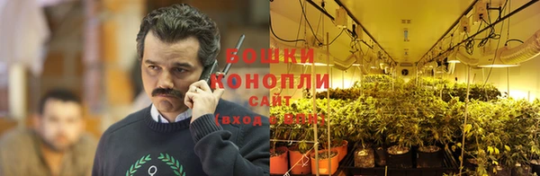 прущие грибы Арсеньев
